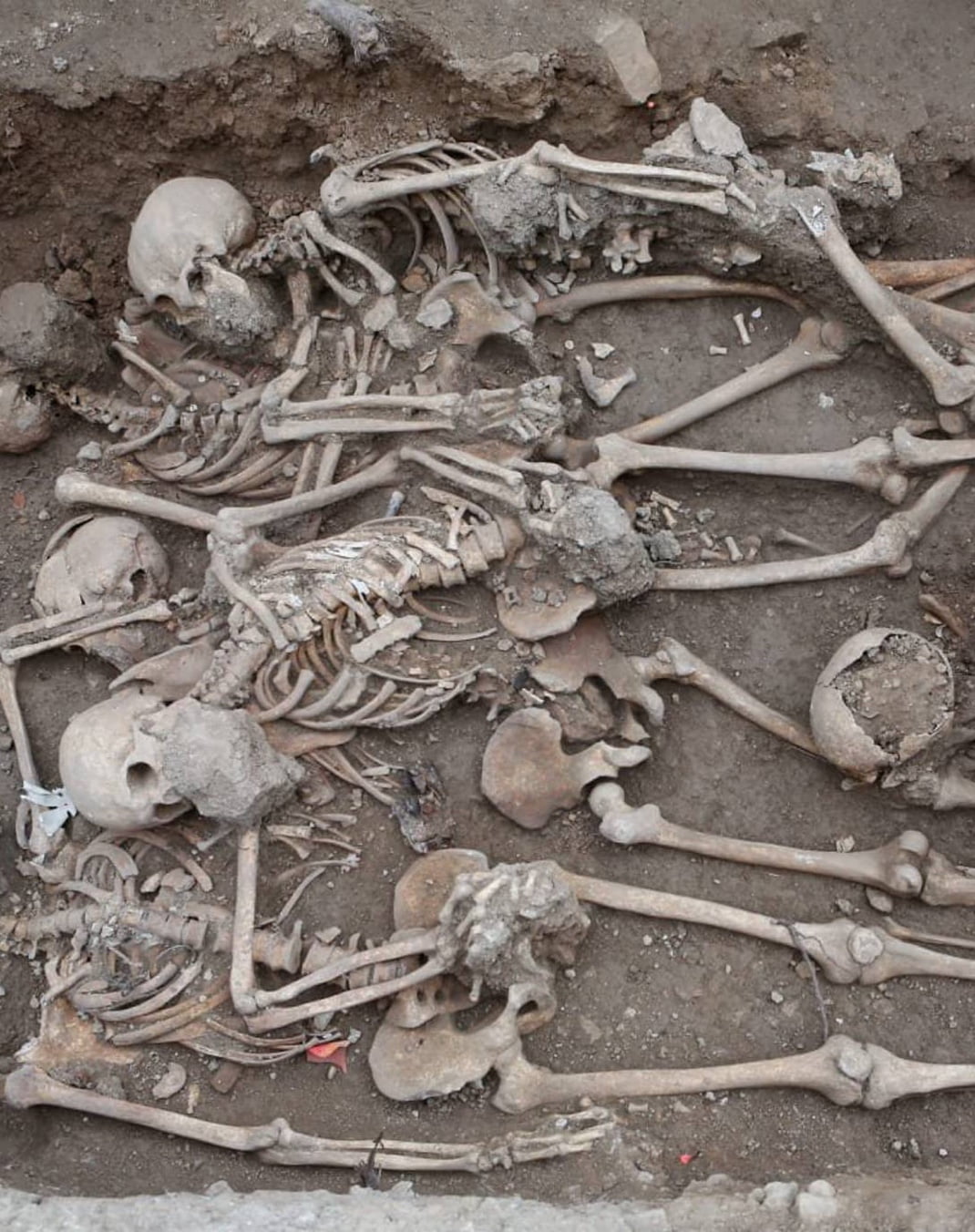 Espanya és un dels estats del món amb més persones desaparegudes, la majoria per la repressió exercida per la dictadura franquista. Quina és la xifra aproximada?